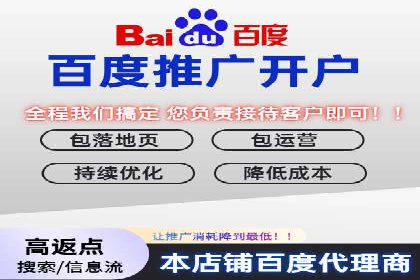 百度竞价赚钱秘诀：实战案例分析